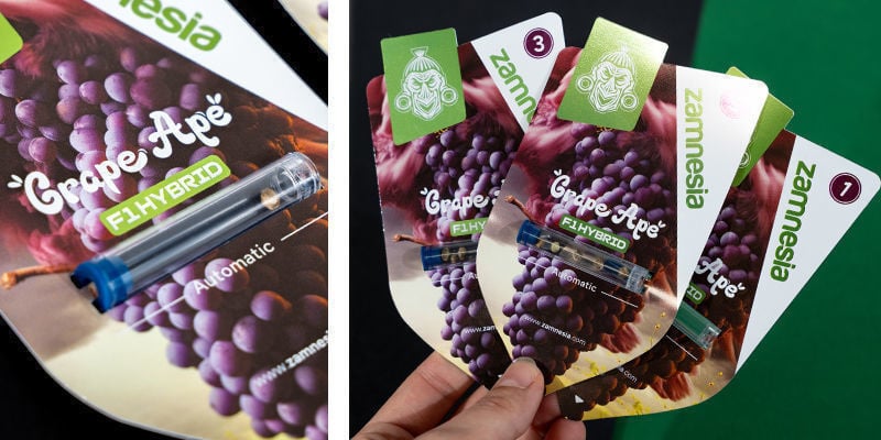 Grape SEED 1〜26 / 12〜26 Grape SEED 1〜26 / 12〜26 Grape SEED 1〜26 / 12〜26